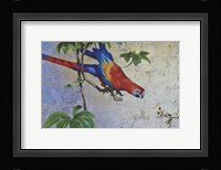 Parrot Fine Art Print