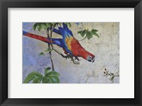 Parrot Fine Art Print