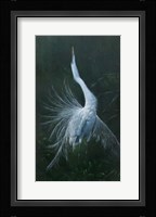 Displaying Egret Fine Art Print