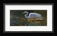 Egret Fine Art Print