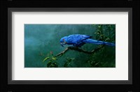 Hyacinth Fine Art Print