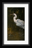 Last Light Fine Art Print