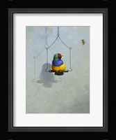 Gouldian Finch Fine Art Print