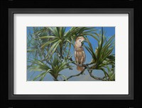 Mullocan Fine Art Print