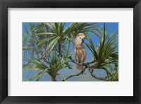 Mullocan Fine Art Print