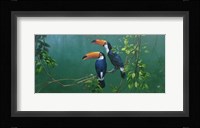Toucans Fine Art Print