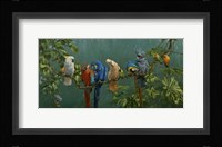 Perroquets Fine Art Print