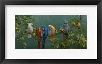 Perroquets Fine Art Print
