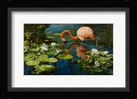 Reflections Fine Art Print