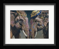 Nellies Fine Art Print