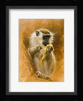 Green Monkey 11 Framed Print