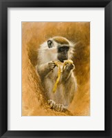 Green Monkey 11 Fine Art Print