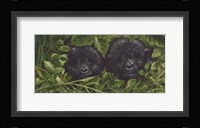 Buddies Fine Art Print