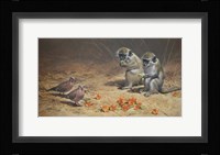 Monks And Dove Fine Art Print