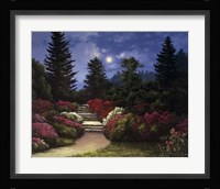 Steps Fine Art Print