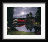 Burst of Red Fine Art Print