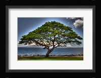 Majestic Fine Art Print