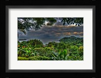 Lush View Fine Art Print