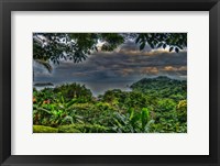 Lush View Fine Art Print