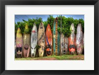 Surf Boards Framed Print