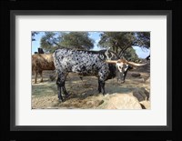 Cattle Fine Art Print