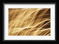 Poesia En Monocromo 2 Fine Art Print