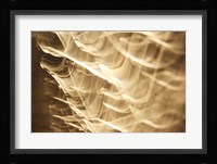 Poesia En Monocromo 4 Fine Art Print