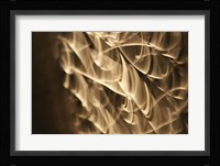 Poesia En Monocromo 6 Fine Art Print