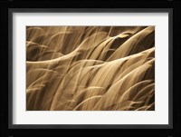 Poesia En Monocromo 7 Fine Art Print