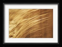 Poesia En Monocromo 8 Fine Art Print