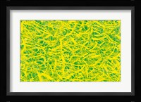 Splatter Fine Art Print