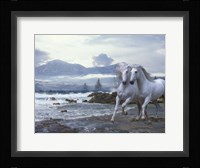 Cold Mountain Fine Art Print