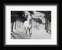 Snow Chase Fine Art Print