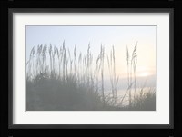 Morning Whisper I Fine Art Print