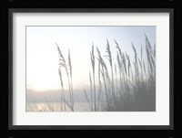 Morning Whisper II Fine Art Print
