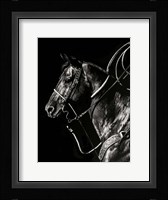 Scratchboard Rodeo V Framed Print
