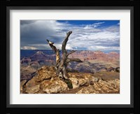 Canyon View V Framed Print