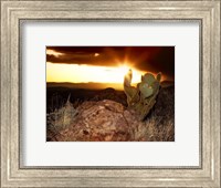 Sunset in the Desert V Fine Art Print