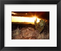 Sunset in the Desert V Fine Art Print