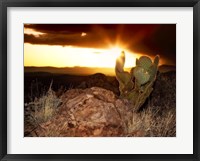 Sunset in the Desert V Framed Print