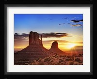 Pink Morning Glory III Framed Print