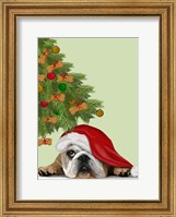 English Bulldog, Cookie Tree Fine Art Print