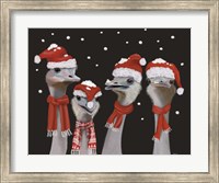 Ostrich, Christmas Gals Fine Art Print