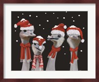 Ostrich, Christmas Gals Fine Art Print