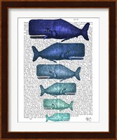 Blue Whale Family Fine Art Print