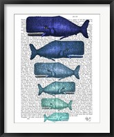 Blue Whale Family Fine Art Print