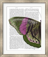 Butterfly in Green and Pink a Fine Art Print