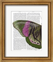 Butterfly in Green and Pink a Fine Art Print