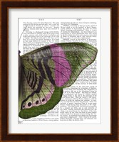 Butterfly in Green and Pink b Fine Art Print