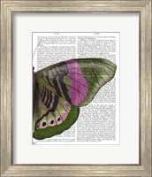 Butterfly in Green and Pink b Fine Art Print